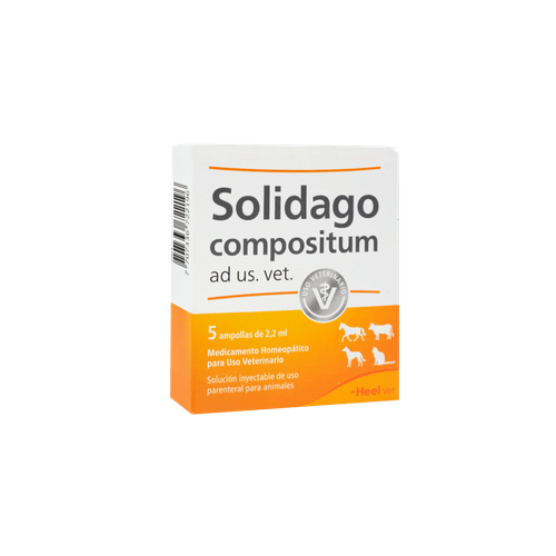 Solidago compositum ad us vet Inyectable