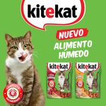 KITEKAT-POUCH-ADULTO-POLLO-X-70-GR