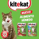 KITEKAT-POUCH-ADULTO-PESCADO-X-70-GR