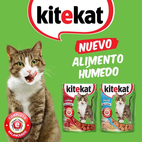 Kitekat Pouch Adulto Pescado X 70 Gr