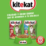 KITEKAT-POUCH-ADULTO-PESCADO-X-70-GR