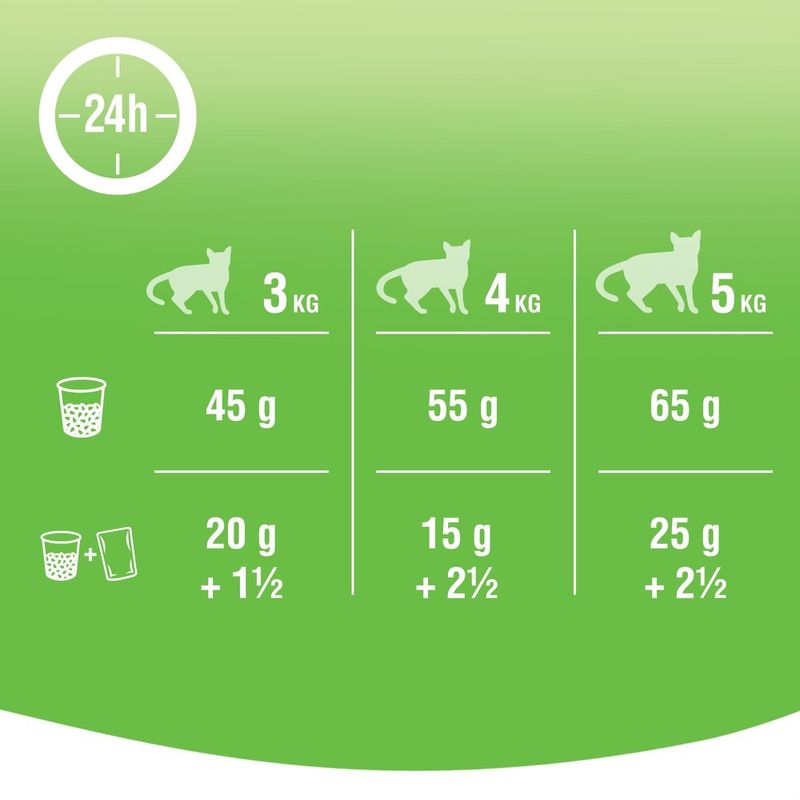 KITEKAT-POUCH-ADULTO-CARNE-X-70-GR