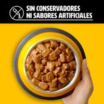 Pedigree-High-Protein-Alimento-Humedo-Perros-Adultos-Cerdo-y-Carne-85-gr