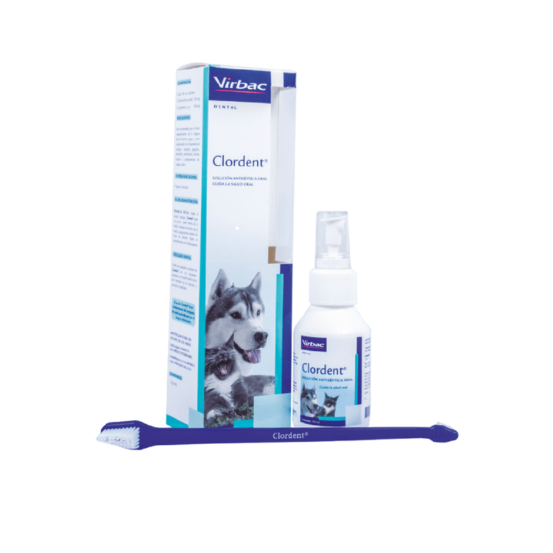 CLORDENT-X-120-ML