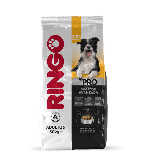 Ringo +Pro Adultos