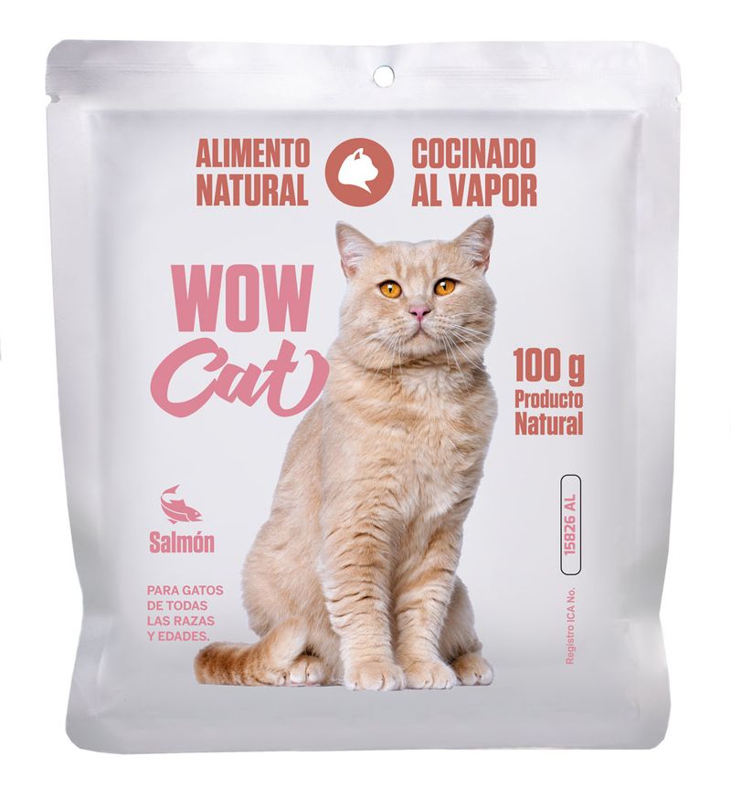 WOW-CAT-SALMON-COC-100G-FRENTE