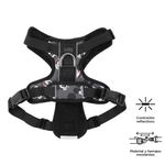 PDARWK2014-231-5Y1S_5