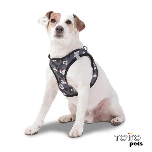 Totto Arnes De Caminata Pechera Toby Disney Mickey Mouse