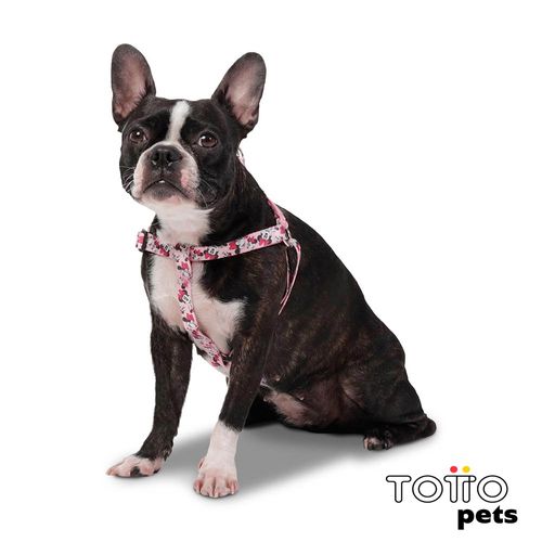 Totto Arnes De Caminata Brunno Disney Minnie Mouse
