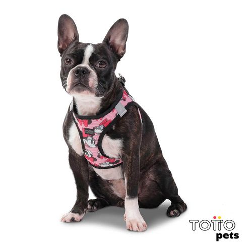 Totto Arnes De Caminata Pechera Toby Disney Minnie Mouse