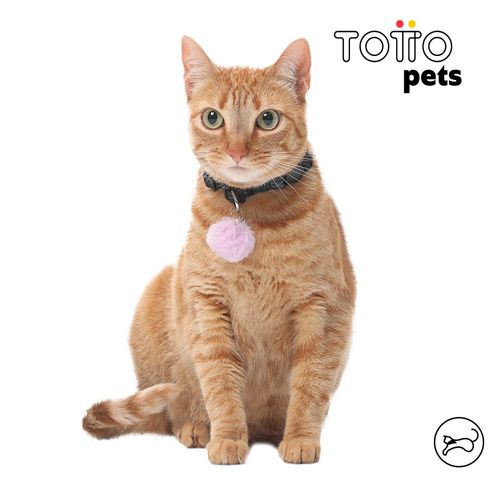 Totto Collar Ajustable Meow