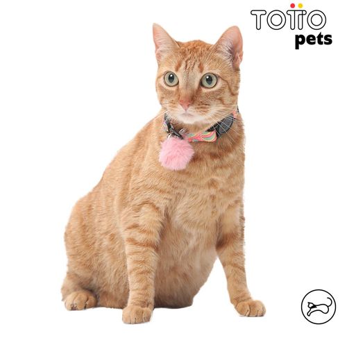 Totto Collar Ajustable Michi