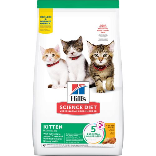 Feline Kitten Healthy Develop.