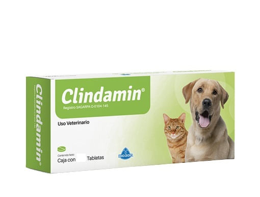 Clindamin