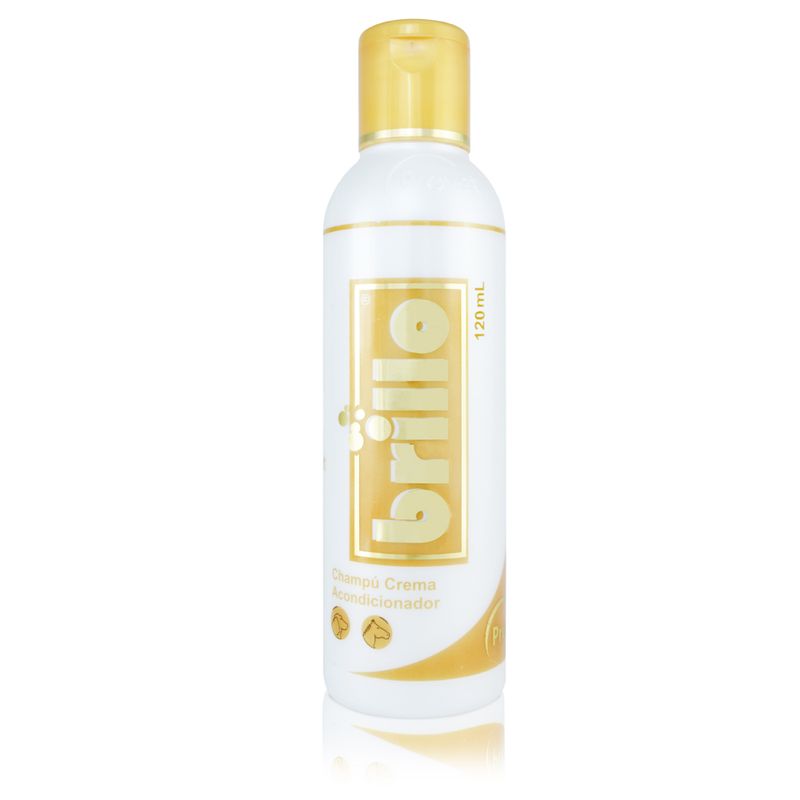 22.BRILLO-X-120