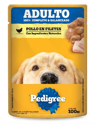 pollo-adulto