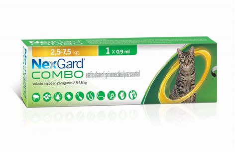 Nexgard Combo Cat