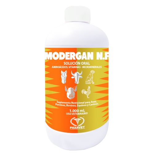 Modergan Nf Oral X 100 Ml