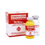 11.-DIMINAZEN