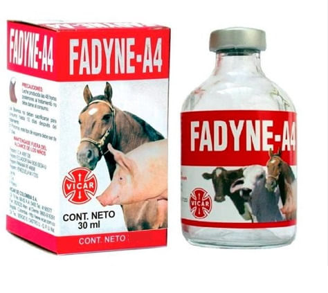 Fadyne A4 X 10 Ml