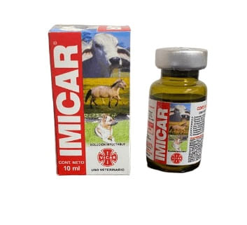 Imicar