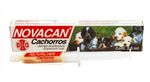 novacan-cachorros