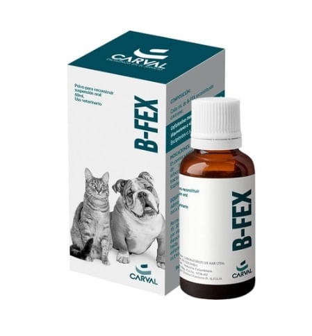 b-fex