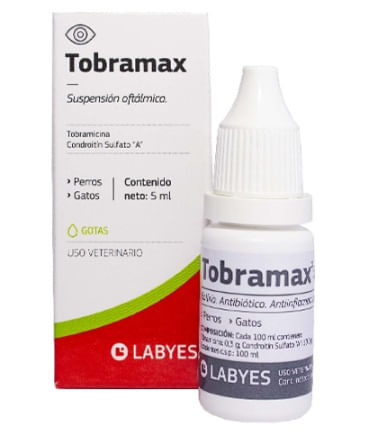 Tobramax  X 5Ml  21219