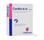 cardio-b-5