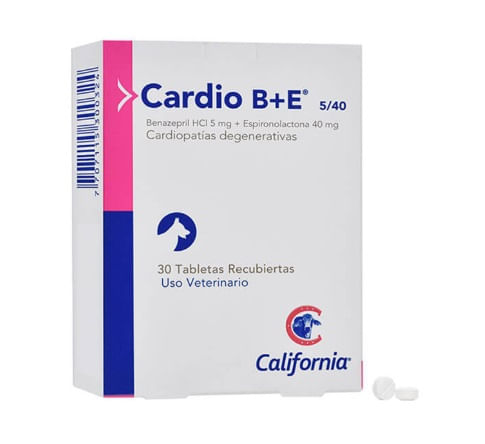cardio-b-5