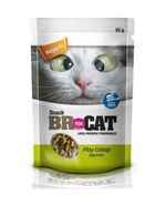 play-catnip
