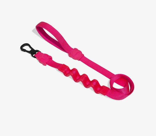 PINK-LED-RUFF-LEASH