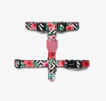 MAHALO-H-HARNESS