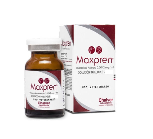 Maxpren-10-ml