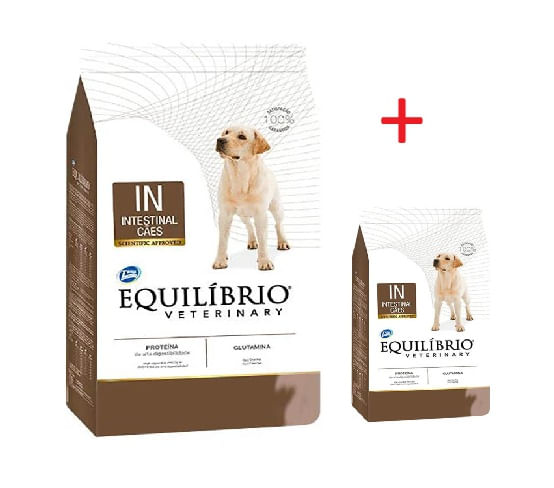 Equilibrio-intestinal.jpg