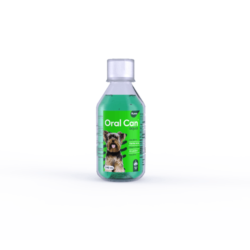 Oral Can Aqua  X 240Ml