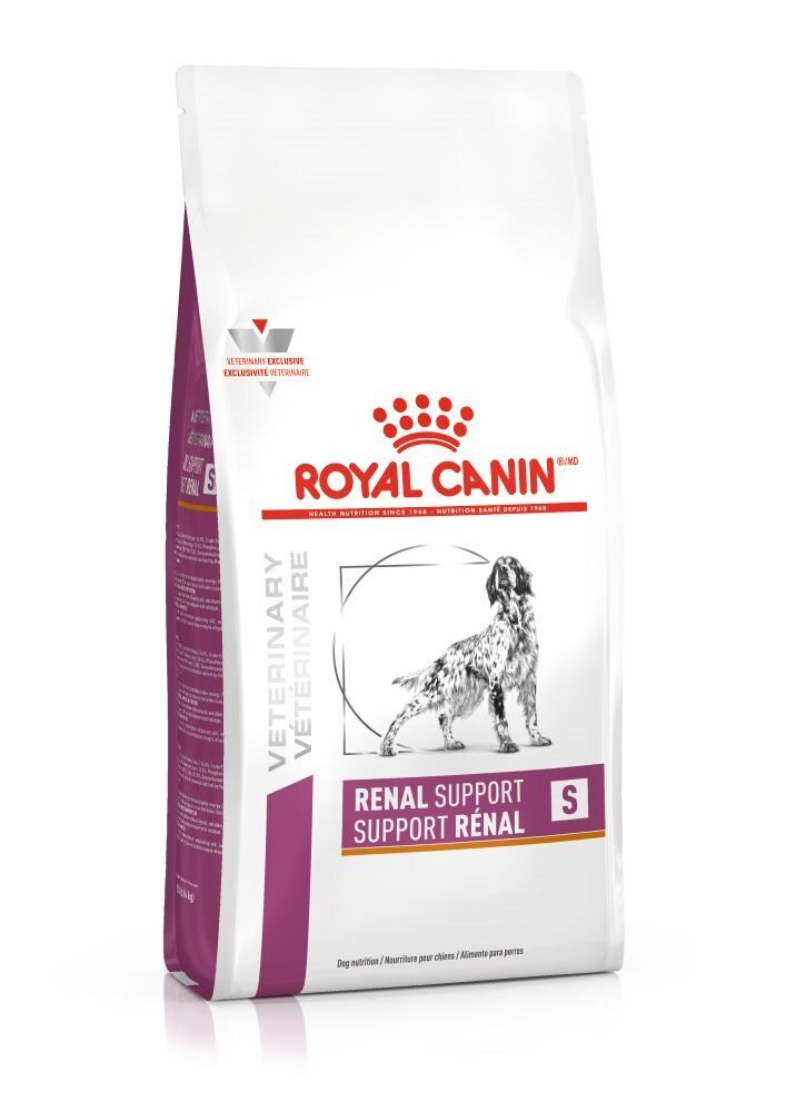 7-RENAL-S-DOG.jpg
