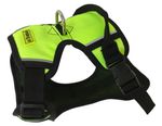 ARNES-VERDE-0001-FINAL.jpg