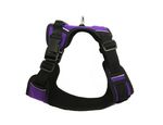 ARNES-VIOLETA-0001.jpg