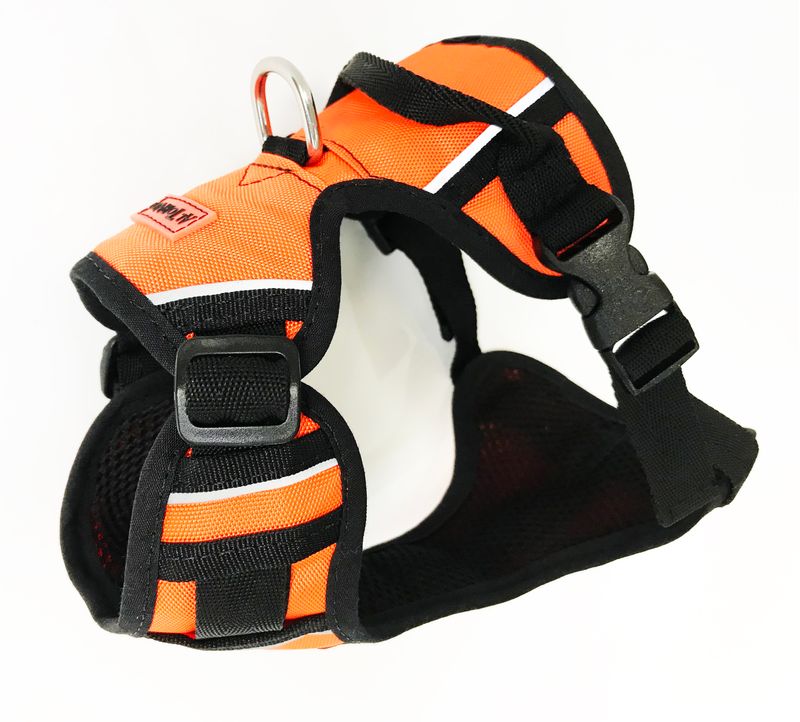 NARANJA-0001.jpg