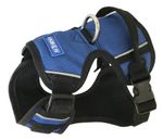 ARNES-AZUL-0001-FINAL.jpg