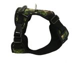 ARNES-GREEN-0001.jpg