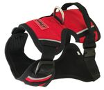ARNES-ROJO-0001-FINAL.jpg