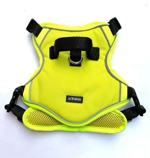 Al Torno Arnes En Lona Premium Talla M
