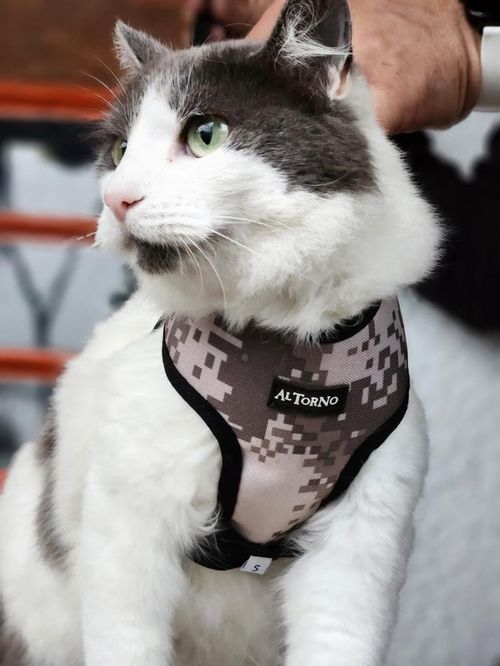 Al Torno Arnes En Lona Con Trailla Para Gato