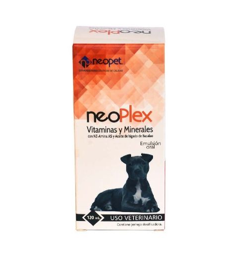 Neoplex  Oral Frasco  X 120 Ml (Vitam Y Mineral)