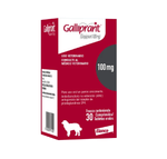GALLIPRANT-100-Mg.png