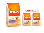 Max-Light.jpg