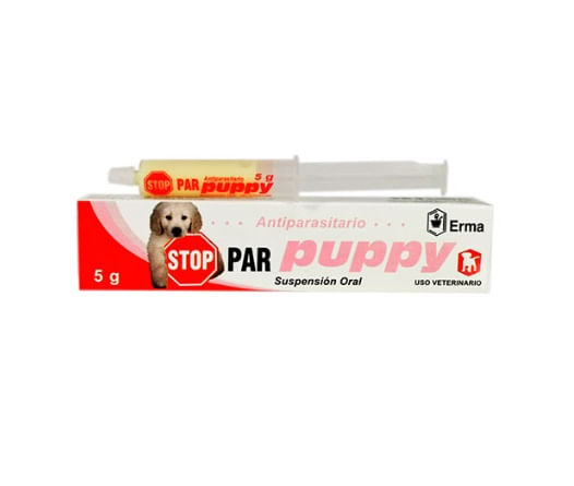 stopar puppy.jpg