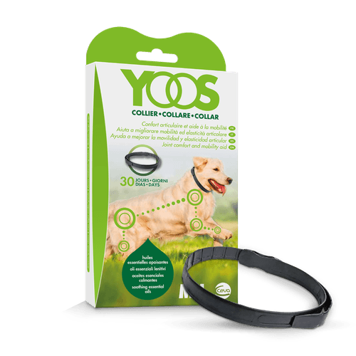 Collar Yoos